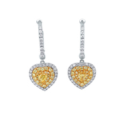 Buy Yellow Diamond Earring in 18K Two Tone Gold