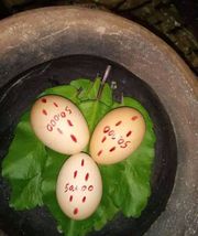 lost love spell caster to bring back lost lover  , +27735584255 SOUTH A